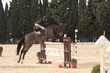 springreiten