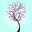 magnolia