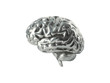 Silver Brain