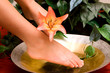 Female washing her feet in bowl of water and flower