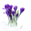 Springtime
