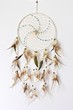 Dreamcatcher