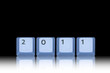 Gespiegelts Jahr 2011