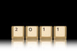 Jahr 2011