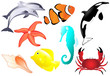 Marine life