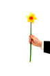 Boy holding flower