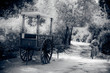 Carro y bicicleta