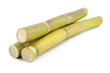 Sugar cane Sugar cane