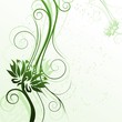 Floral green cover with flowers, vector illustration