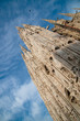 Low angle view to Duomo of Milan Low angle view to Duomo of Milan