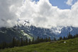 Mountains spring