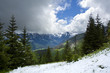 Mountains spring