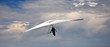 Drachenflieger