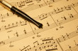 Vizzio della musica