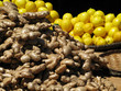Légumes