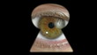 Intrusive eye Intrusive eye