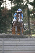Photo en ligne au meilleur prix Equitation