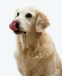 Foto: Hunger! Hunger!