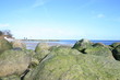 An der Ostsee