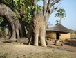 Im Land der Tata Somba (Benin / Westafrika)