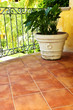 Plant on tiled Mexican veranda