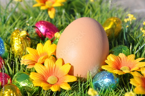 Photo: oeufs de pâques oeufs de pâques