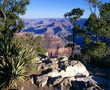 GrandCanyon_311424