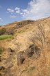 Eastern Oregon Desert