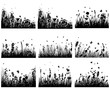 meadow silhouettes