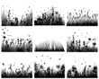 meadow silhouettes