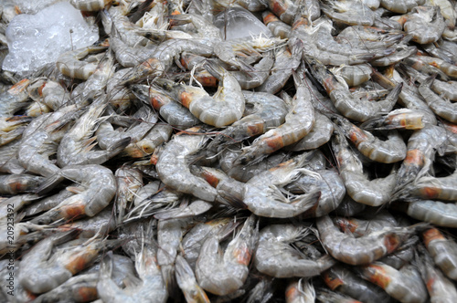 Photo: Prawns close up Prawns close up