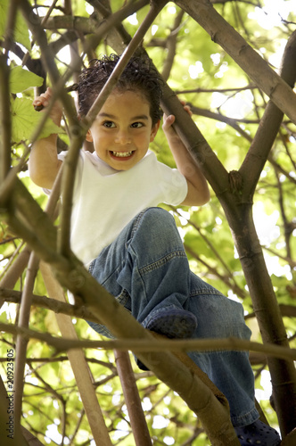 Photo: cute boy in a tree cute boy in a tree