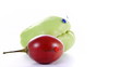 La chayotte et le tamarillo La chayotte et le tamarillo