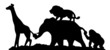 Safari