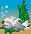 poisson