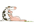 vache