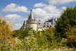 Chaumont Chateau behind an amazing garden. France postcard