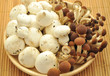 Funghi champignon e chiodini