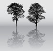 Two beautiful winter tree silhouettes, highly detailed.
