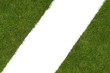 grass piece