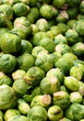 Rosenkohl