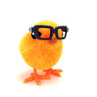 Chick wearing glasses
