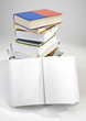 Blank opened book Blank opened book