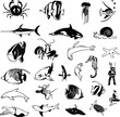 aqua life black and white silhouetts aqua life black and white silhouetts