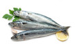 mackerel ready to cooking mackerel ready to cooking