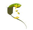 snake a bird