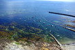 côte bretonne à marée basse