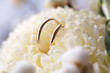 Wedding rings on the flowers