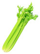 celery