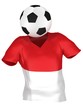 National Soccer Team of Monaco | All Teams Collection |